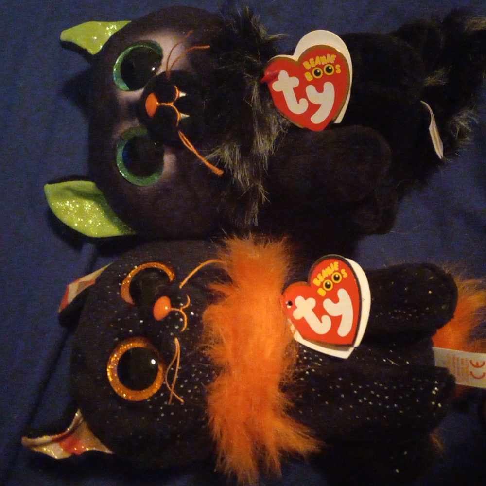 Halloween cat duo